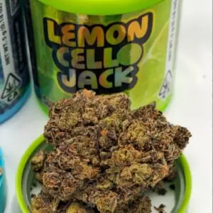 mad labs buds